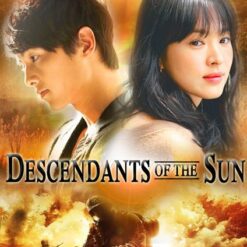 Hậu duệ của mặt trời - Descendants of the Sun - 태양의 후예 - 2016 (16 tập) - Bộ